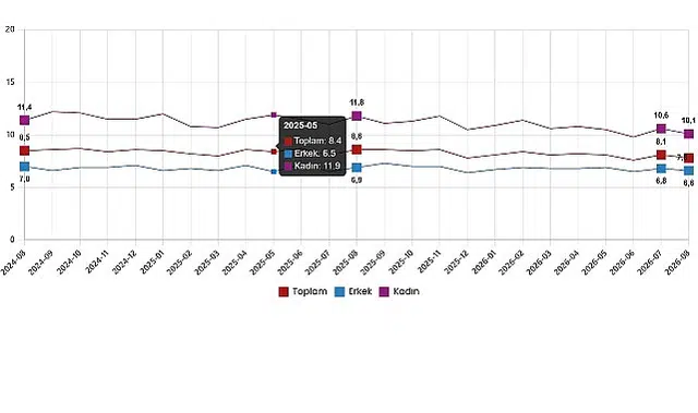 İşgücü İstatistikleri, Ağustos 2026