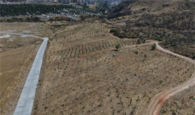 Kıraç topraklarda yeşil dönüşüm
